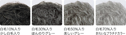 白髪入りのヘアウィッグ、ヘアピース