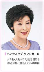 ヘアウィッグ(全かつら)ソフトカール